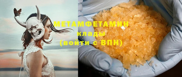 прущие грибы Вязники