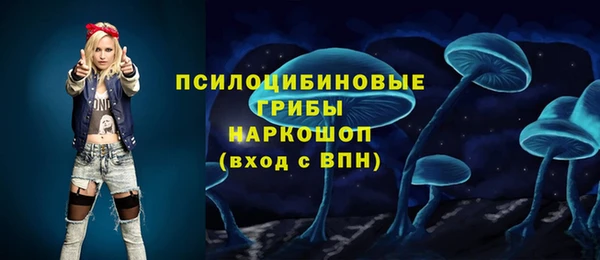 прущие грибы Вязники
