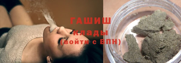 прущие грибы Вязники