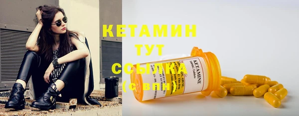 прущие грибы Вязники