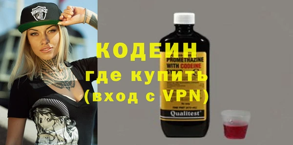apvp Вяземский