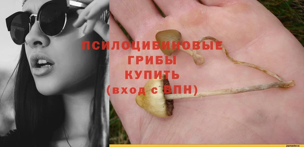 спайс Вязьма