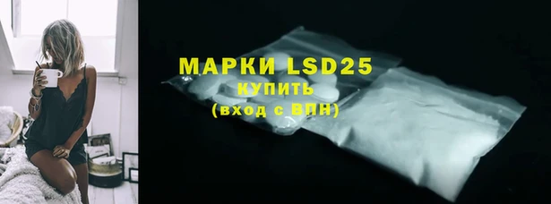 apvp Вяземский