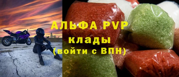 прущие грибы Вязники