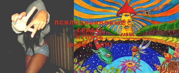 спайс Вязьма