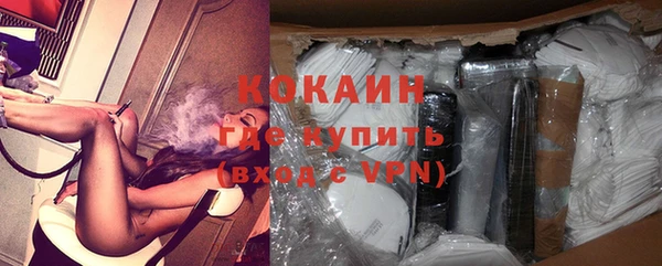 прущие грибы Вязники