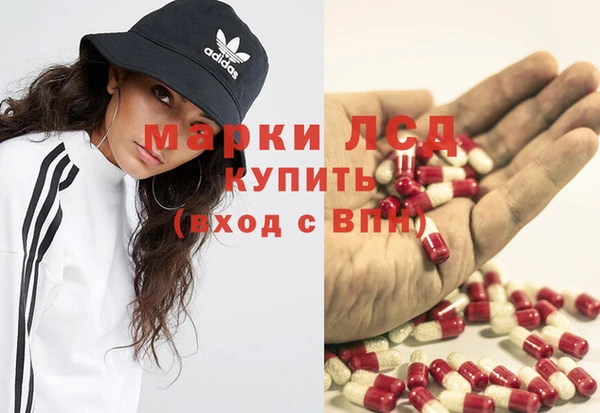 прущие грибы Вязники
