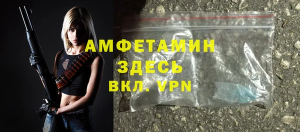 apvp Вяземский