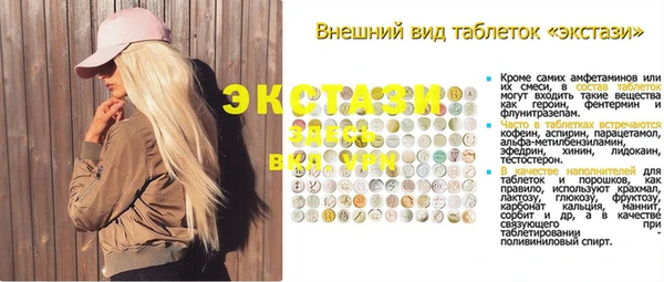 apvp Вяземский