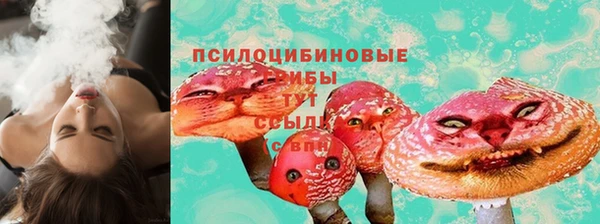 apvp Вяземский