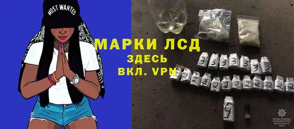 прущие грибы Вязники