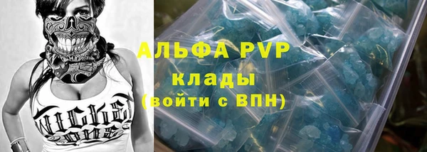 apvp Вяземский